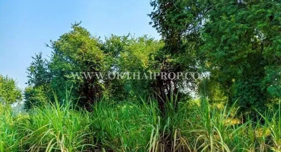 À vendre terrain à Bueng Samakkhi, Kamphaeng Phet