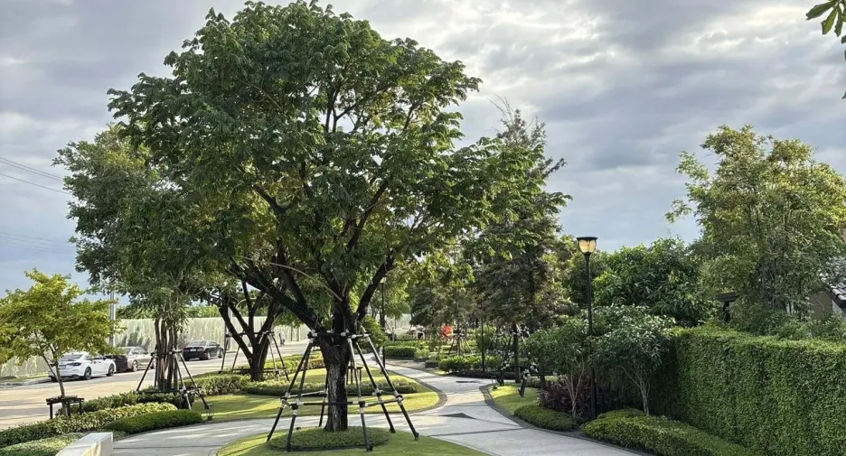 ให้เช่า 3 ห้องนอน บ้านเดี่ยว ใน บางบัวทอง, นนทบุรี