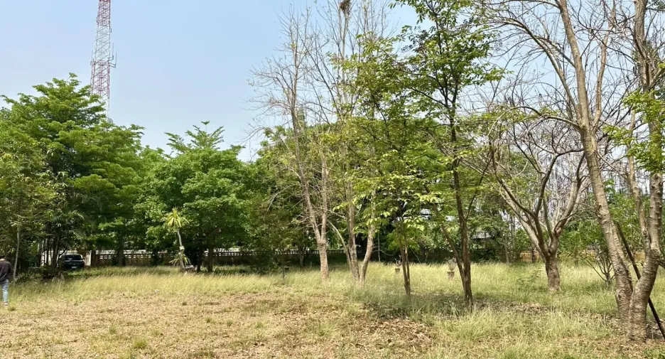 For sale land in San Pa Tong, Chiang Mai