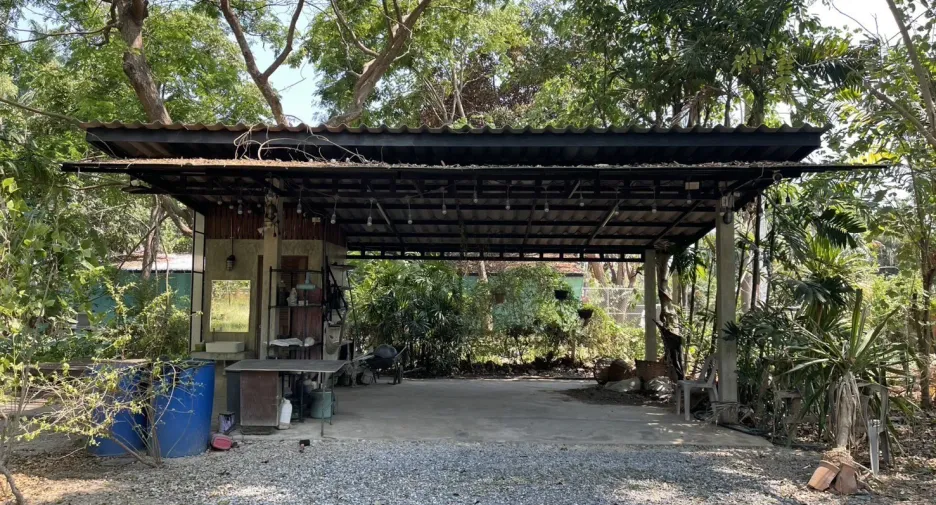 For sale land in San Pa Tong, Chiang Mai