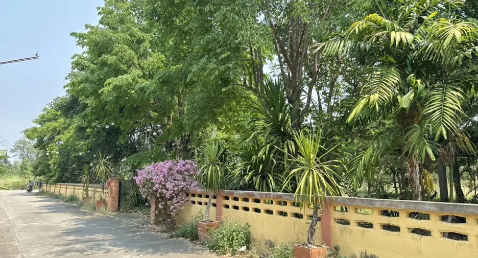 For sale land in San Pa Tong, Chiang Mai