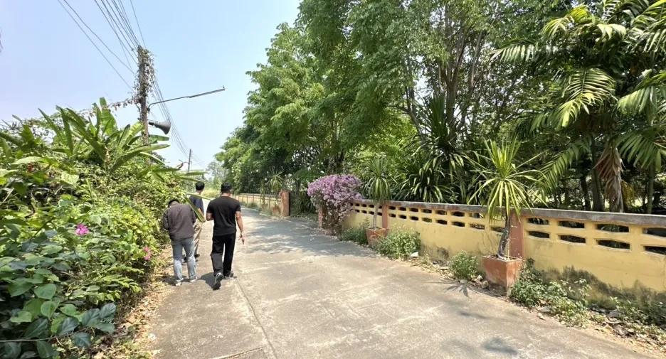 For sale land in San Pa Tong, Chiang Mai