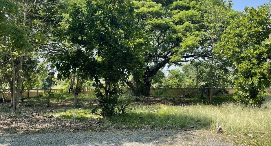 For sale land in San Pa Tong, Chiang Mai