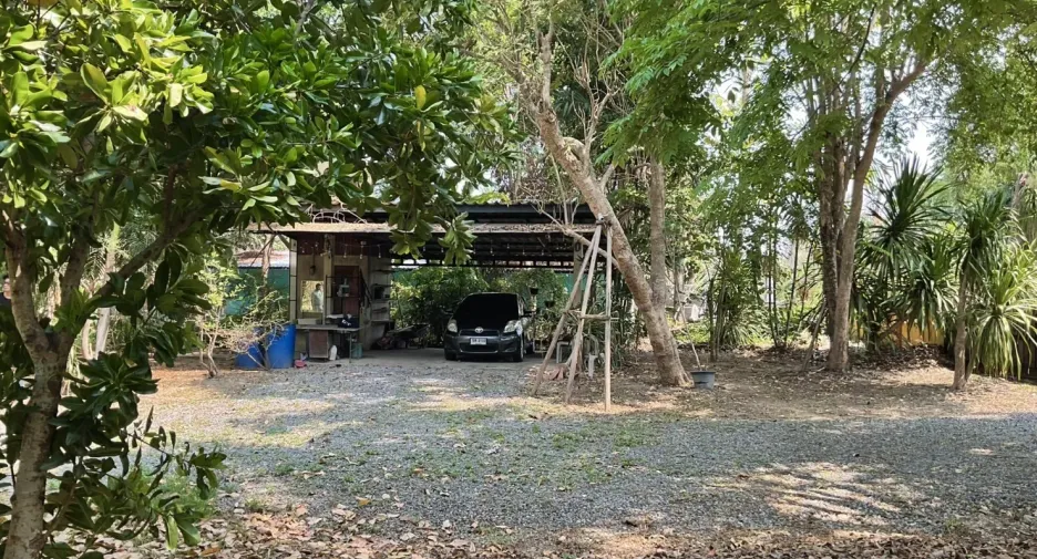 For sale land in San Pa Tong, Chiang Mai