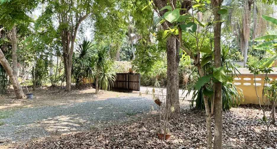 For sale land in San Pa Tong, Chiang Mai