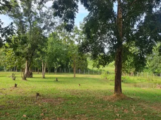 For sale 2 bedrooms villa in Mueang Chiang Rai, Chiang Rai