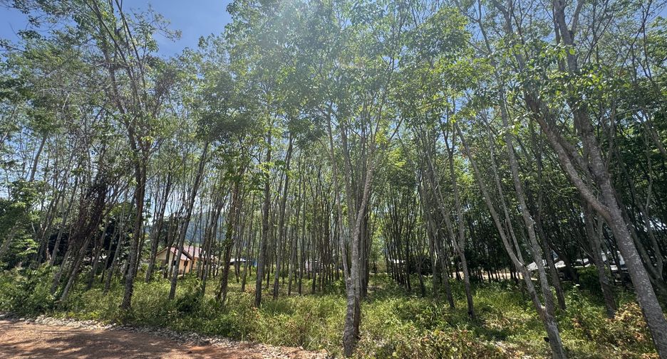 For sale land in Ko Lanta, Krabi
