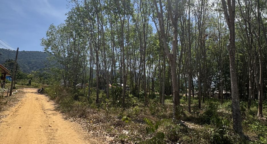 For sale land in Ko Lanta, Krabi