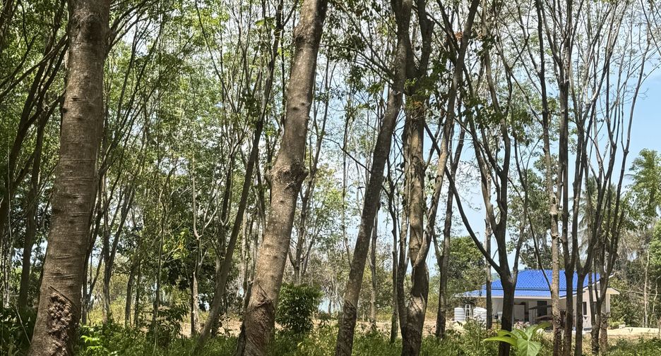 For sale land in Ko Lanta, Krabi