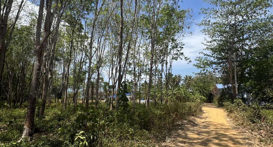 For sale land in Ko Lanta, Krabi