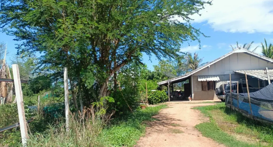 For sale 3 bedrooms house in Ban Laem, Phetchaburi
