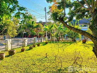 ขาย และ ให้เช่า 4 ห้องนอน บ้านเดี่ยว ใน เมืองเชียงใหม่, เชียงใหม่