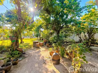 ขาย และ ให้เช่า 4 ห้องนอน บ้านเดี่ยว ใน เมืองเชียงใหม่, เชียงใหม่