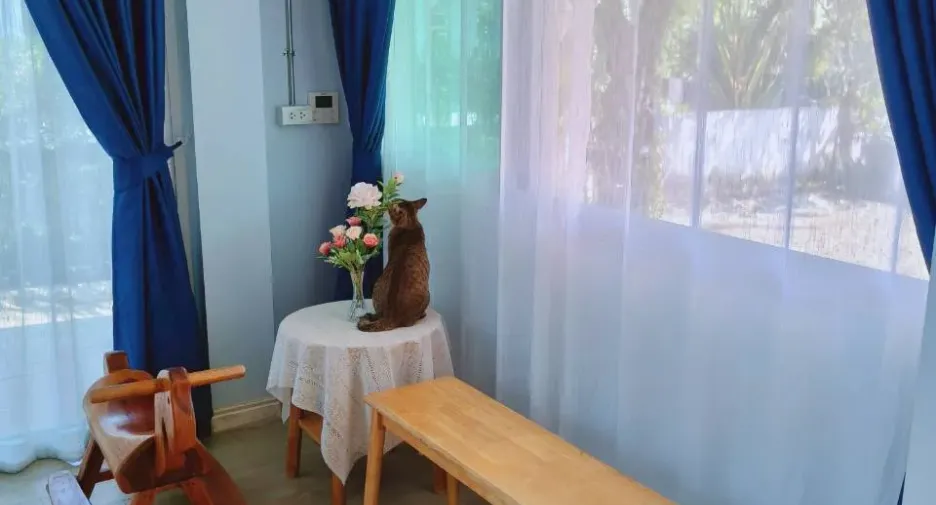 For rent 3 bedrooms house in Mae Rim, Chiang Mai