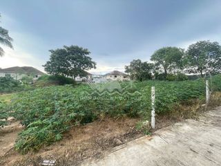 ขาย ที่ดิน ใน บางละมุง, ชลบุรี