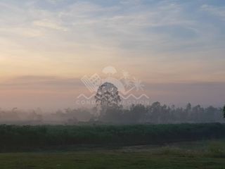 出售 土地 在 Bang Lamung, Chon Buri