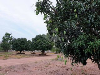 For sale land in Bang Lamung, Chonburi