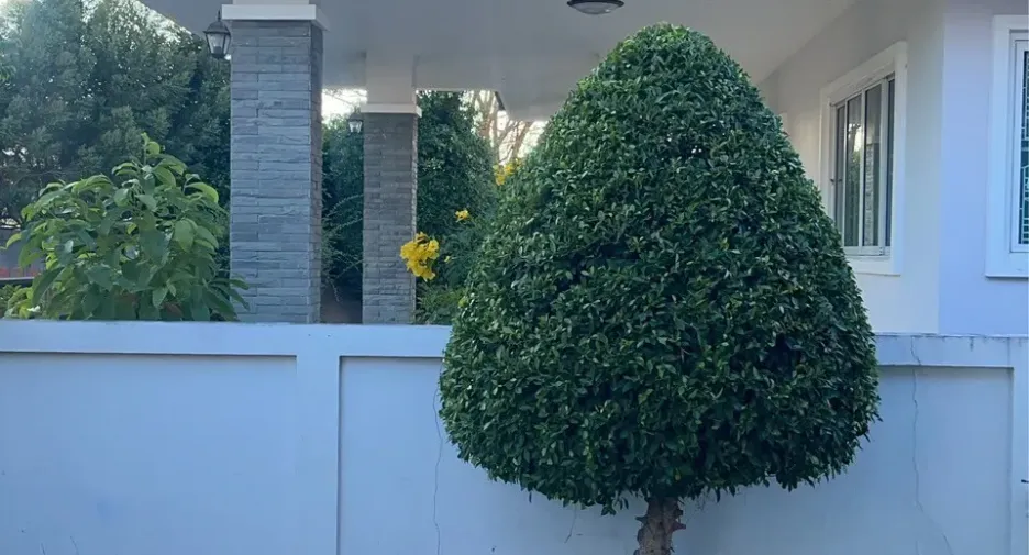For rent 3 bedrooms house in Cha Am, Phetchaburi