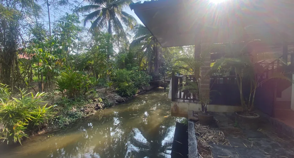 ขาย ที่ดิน ใน เมืองนครศรีธรรมราช, นครศรีธรรมราช