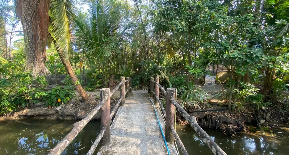 ขาย ที่ดิน ใน เมืองนครศรีธรรมราช, นครศรีธรรมราช