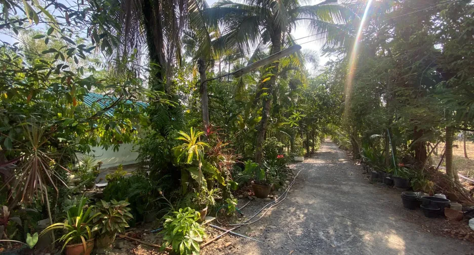 ขาย ที่ดิน ใน เมืองนครศรีธรรมราช, นครศรีธรรมราช