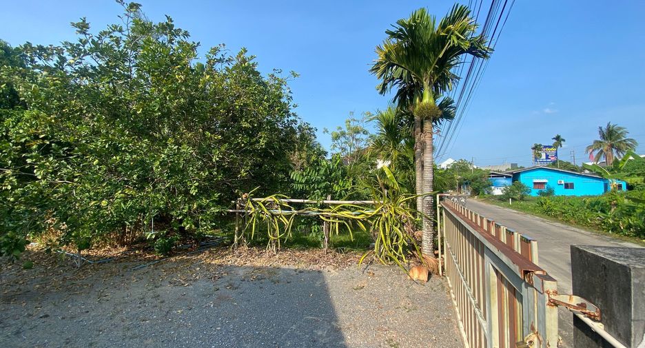 For sale land in Mueang Nakhon Si Thammarat, Nakhon Si Thammarat