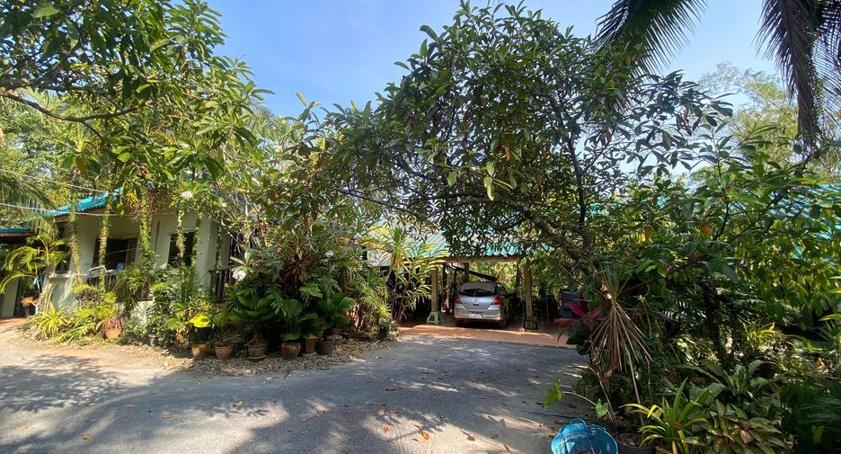 For sale land in Mueang Nakhon Si Thammarat, Nakhon Si Thammarat