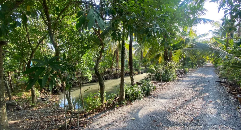 ขาย ที่ดิน ใน เมืองนครศรีธรรมราช, นครศรีธรรมราช