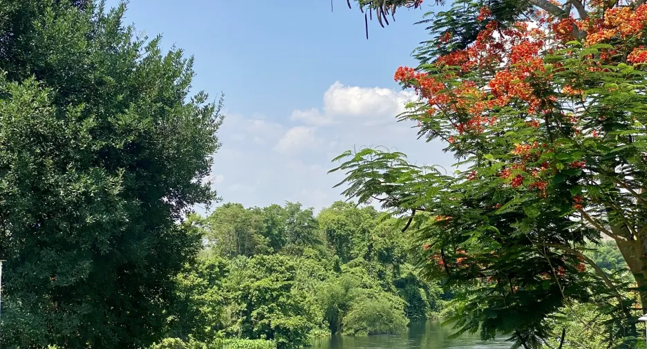 For sale 4 bedrooms hotel in Mueang Kanchanaburi, Kanchanaburi