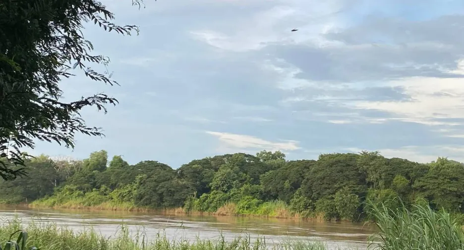 For sale land in Phayuha Khiri, Nakhon Sawan