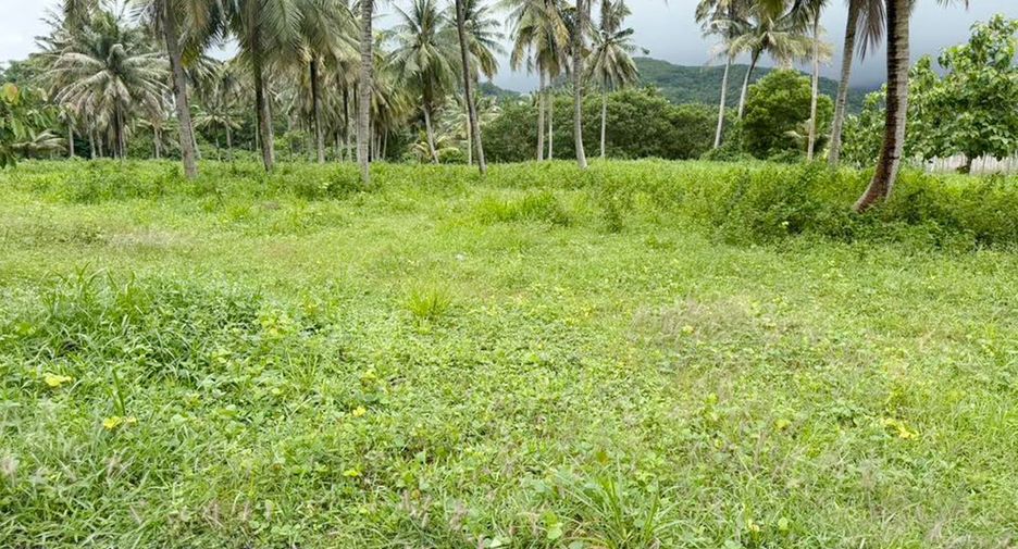 Grundstück zum Kauf in Thalang, Phuket