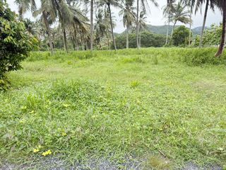 Terreno en venta en Thalang, Phuket