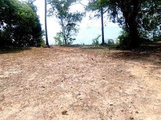 For sale land in Mueang Phuket, Phuket