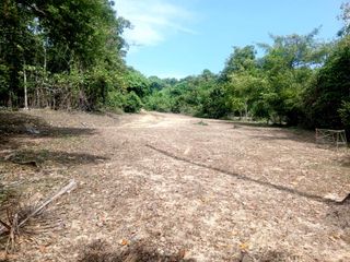 For sale land in Mueang Phuket, Phuket