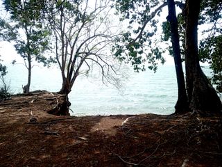 For sale land in Mueang Phuket, Phuket