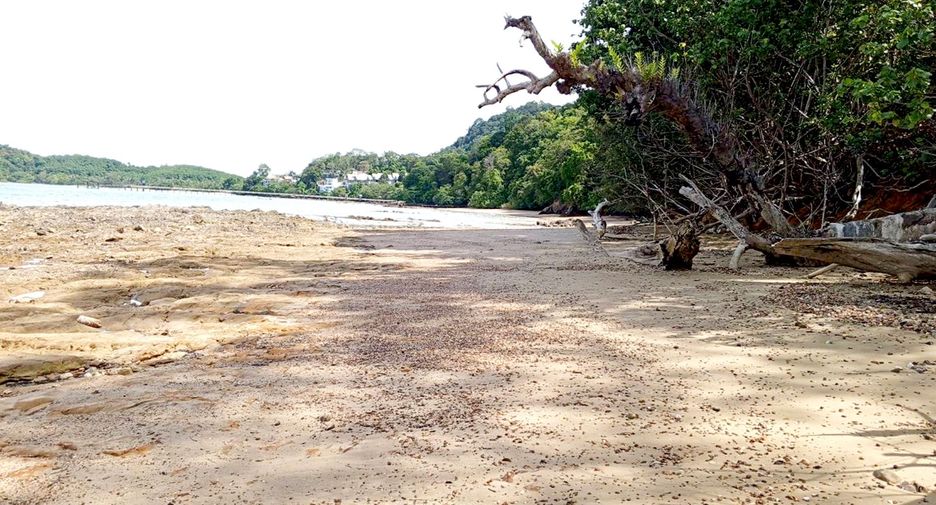 For sale land in Mueang Phuket, Phuket