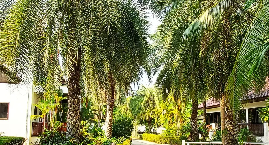 For sale 10 bedrooms hotel in Klaeng, Rayong