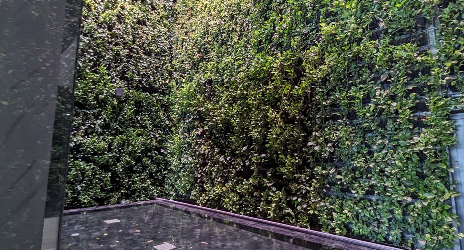 For rent 1 bed condo in Ratchathewi, Bangkok