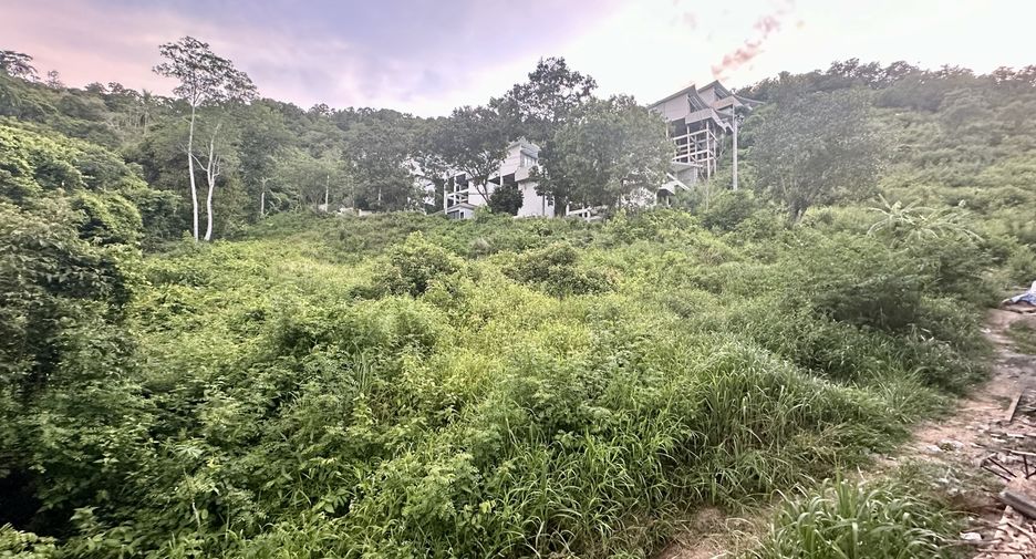 出售 土地 在 苏梅岛, 素叻