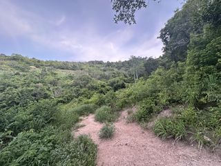 出售 土地 在 苏梅岛, 素叻