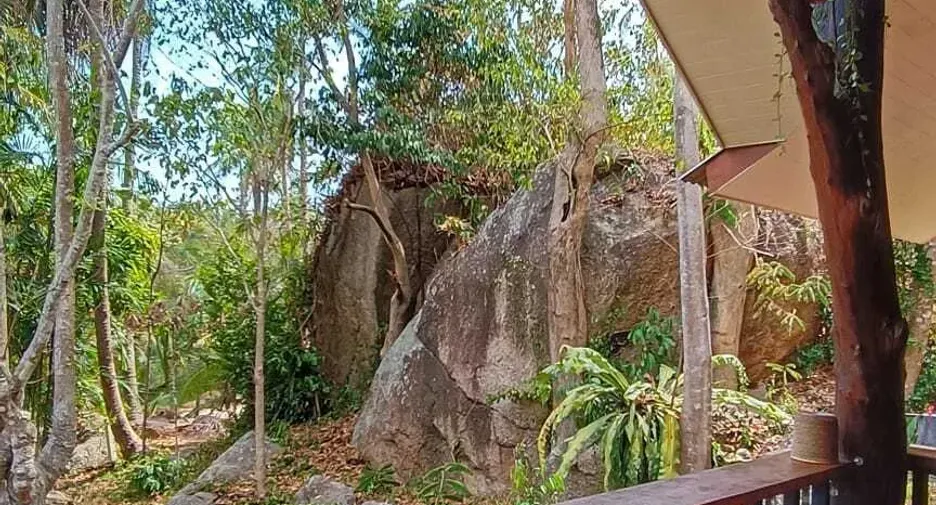For sale 3 bedrooms house in Ko Pha-ngan, Surat Thani