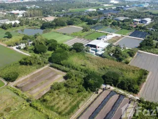 For sale land in Phutthamonthon, Nakhon Pathom