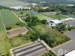 For sale land in Phutthamonthon, Nakhon Pathom