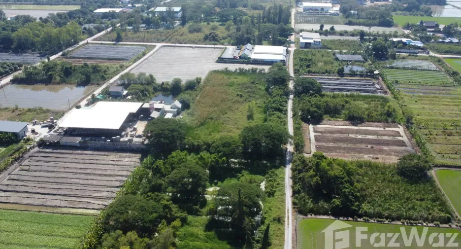 For sale land in Phutthamonthon, Nakhon Pathom