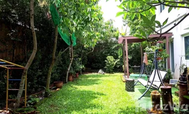 出售 4 卧室 独立屋 在 San Kamphaeng, Chiang Mai
