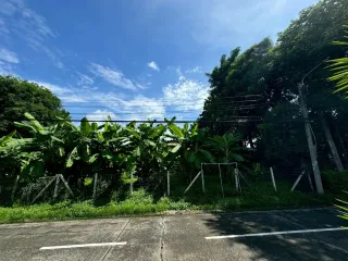 Terreno en venta en Bang Phlat, Bangkok