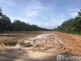 For sale land in Thung Tako, Chumphon