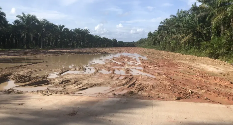 For sale land in Thung Tako, Chumphon