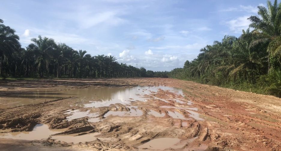 For sale land in Thung Tako, Chumphon