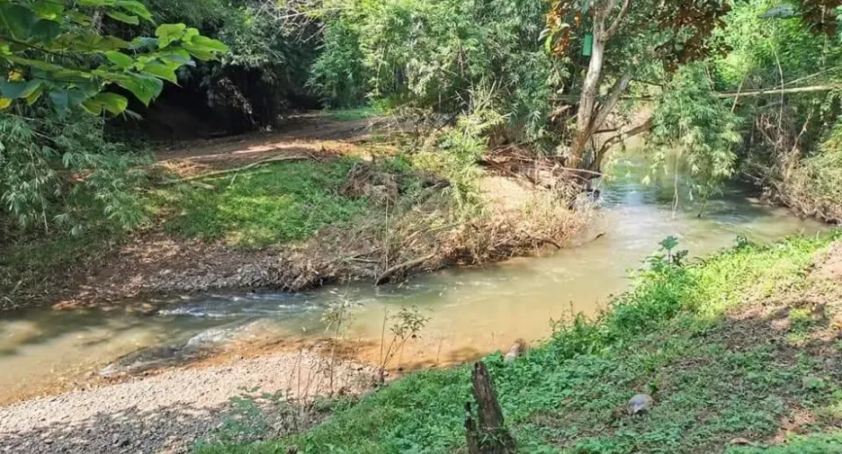 For sale land in Muang Nan, Nan